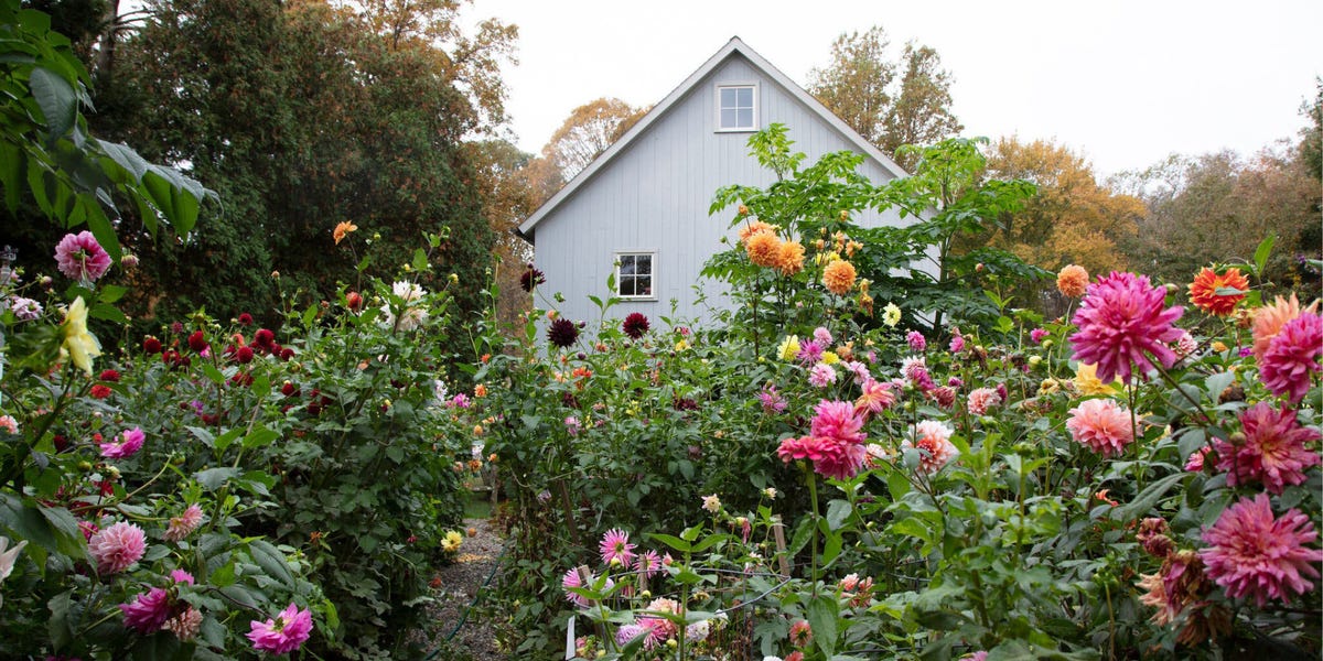 Frances Palmer Reveals Her Secrets for Arranging a Splendid Summer Centerpiece