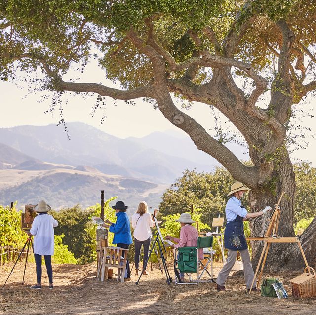 a cohort of local painters overlooking the chardonnay vines with the san rafael grass mountains in the distance in california