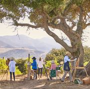 a cohort of local painters overlooking the chardonnay vines with the san rafael grass mountains in the distance in california