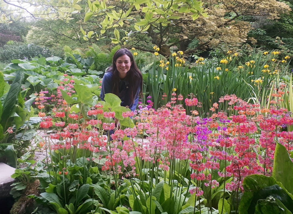 Francis Tophill in his spring garden