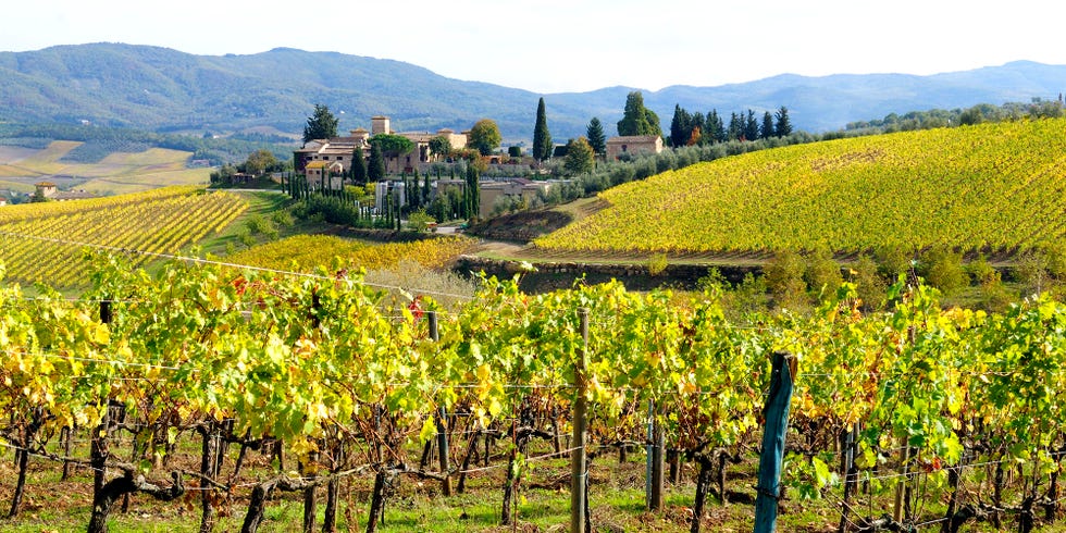 The 11 Best Wine Regions in the World - Must-Visit Wine Regions to Get ...