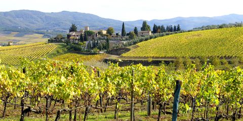 Franciacorta Italian Village and Vineyard in Fall