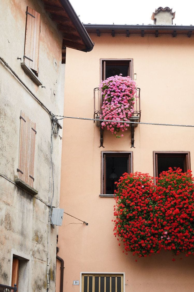 window box ideas