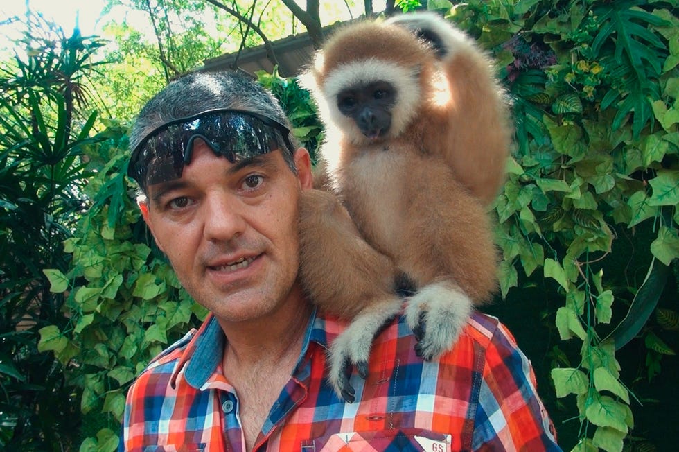 Wild Frank