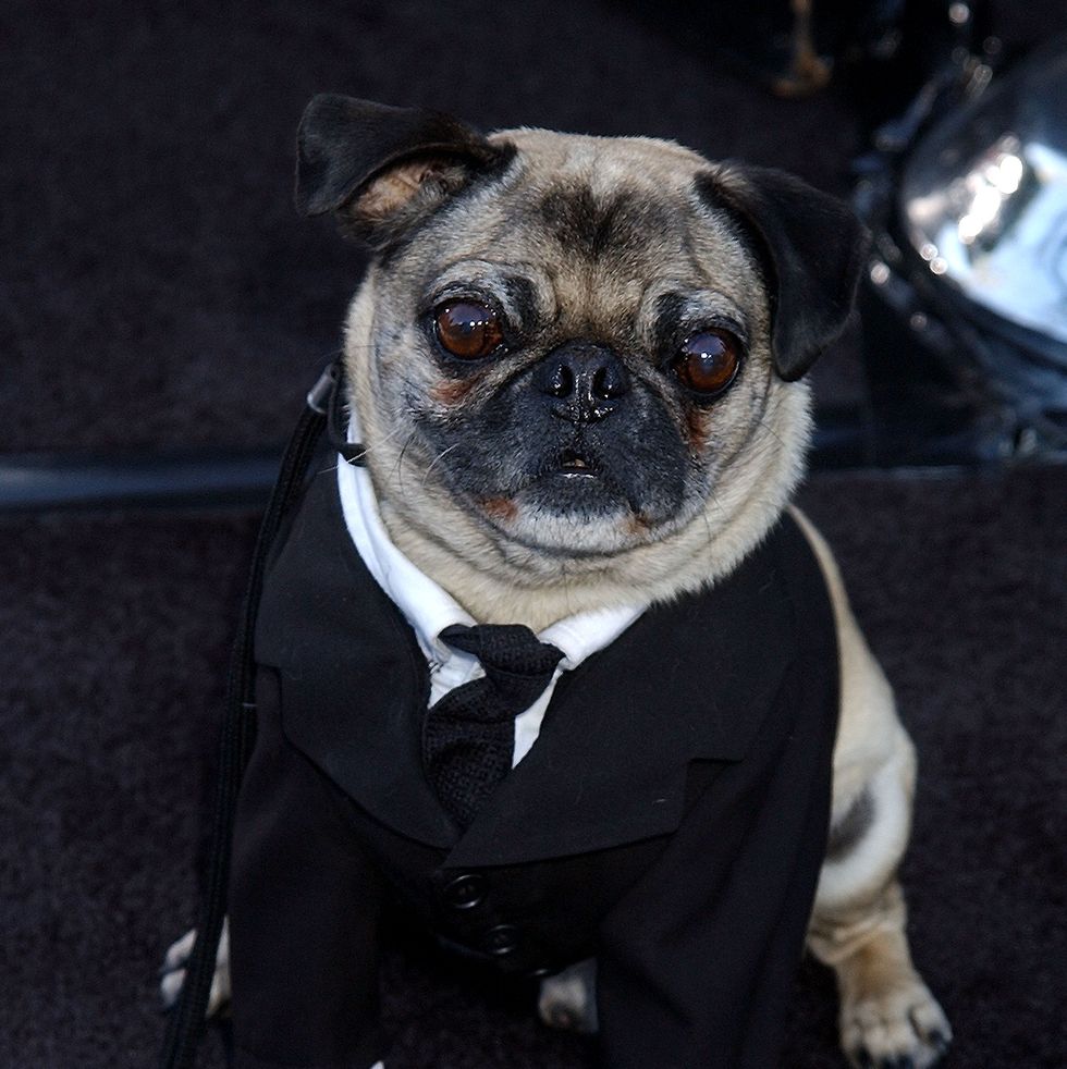 "men in black ii" premiere