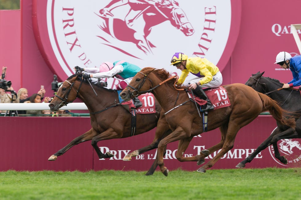 Enable wins the 97th Qatar Prix de l'Arc de Triomphe in ParisLongchamp Racecourse, France
