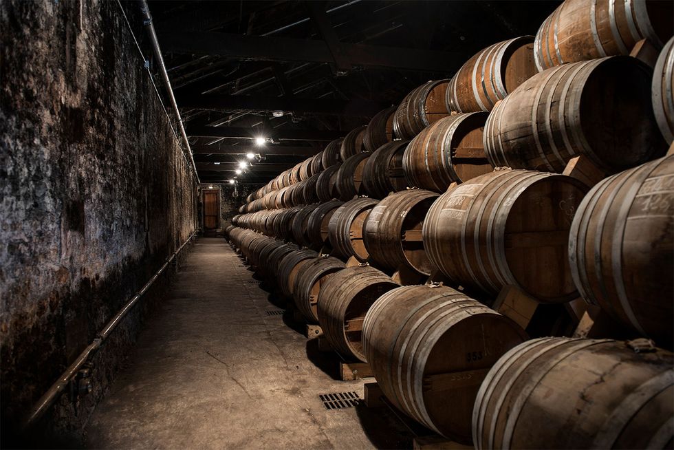 Barrel, Winery, Wine cellar, Wine, Basement, Drink, Warehouse, 