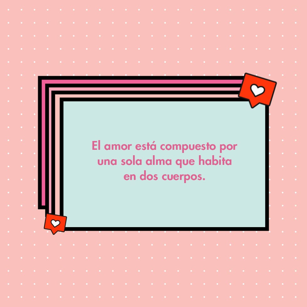 "el amor está compuesto por una sola alma que habita en dos cuerpos"