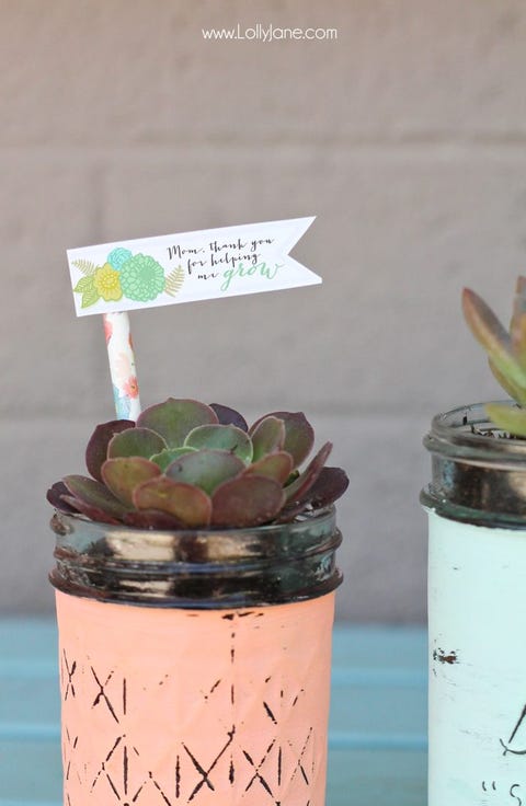 freemothersdaygiftsmasonjarsucculent