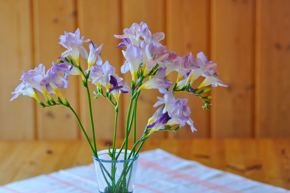 freesias in a vase on a wooden table with tablecloth unpainted wooden walls