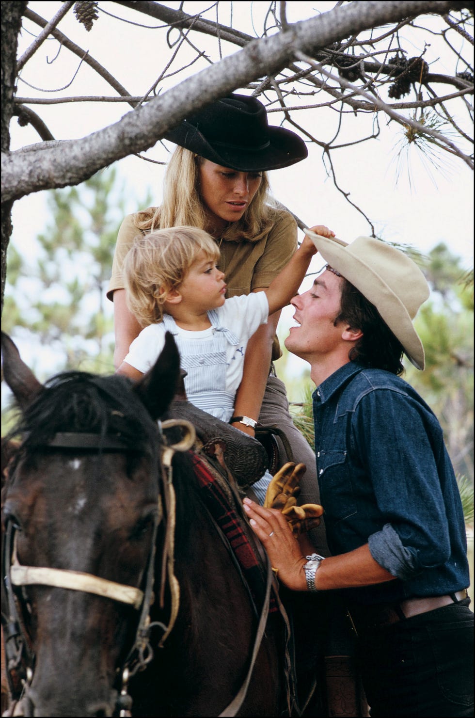 files pictures of french actor alain delon