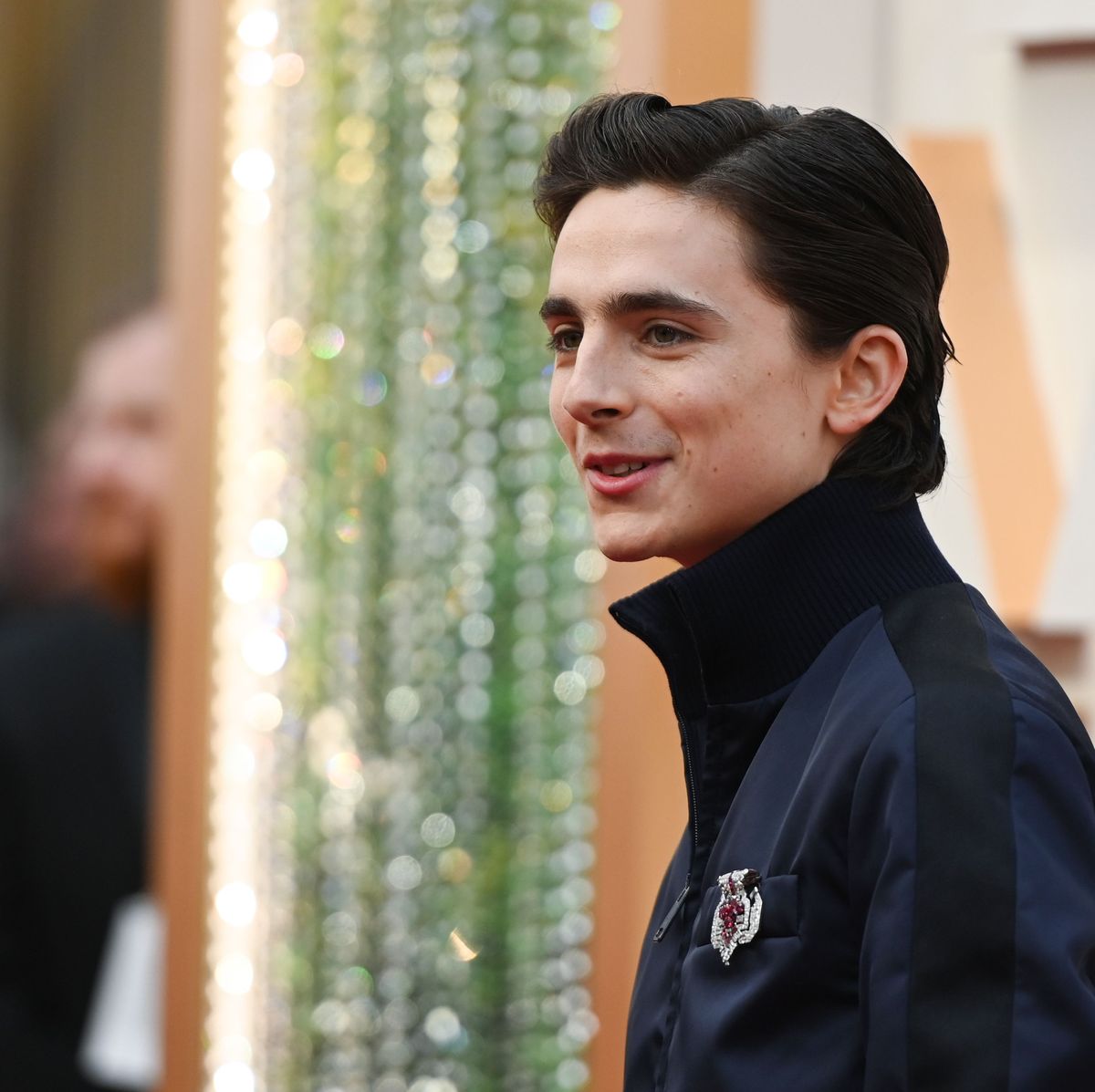 Timothée Chalamet Oscars 2020 outfit tore up the rule book