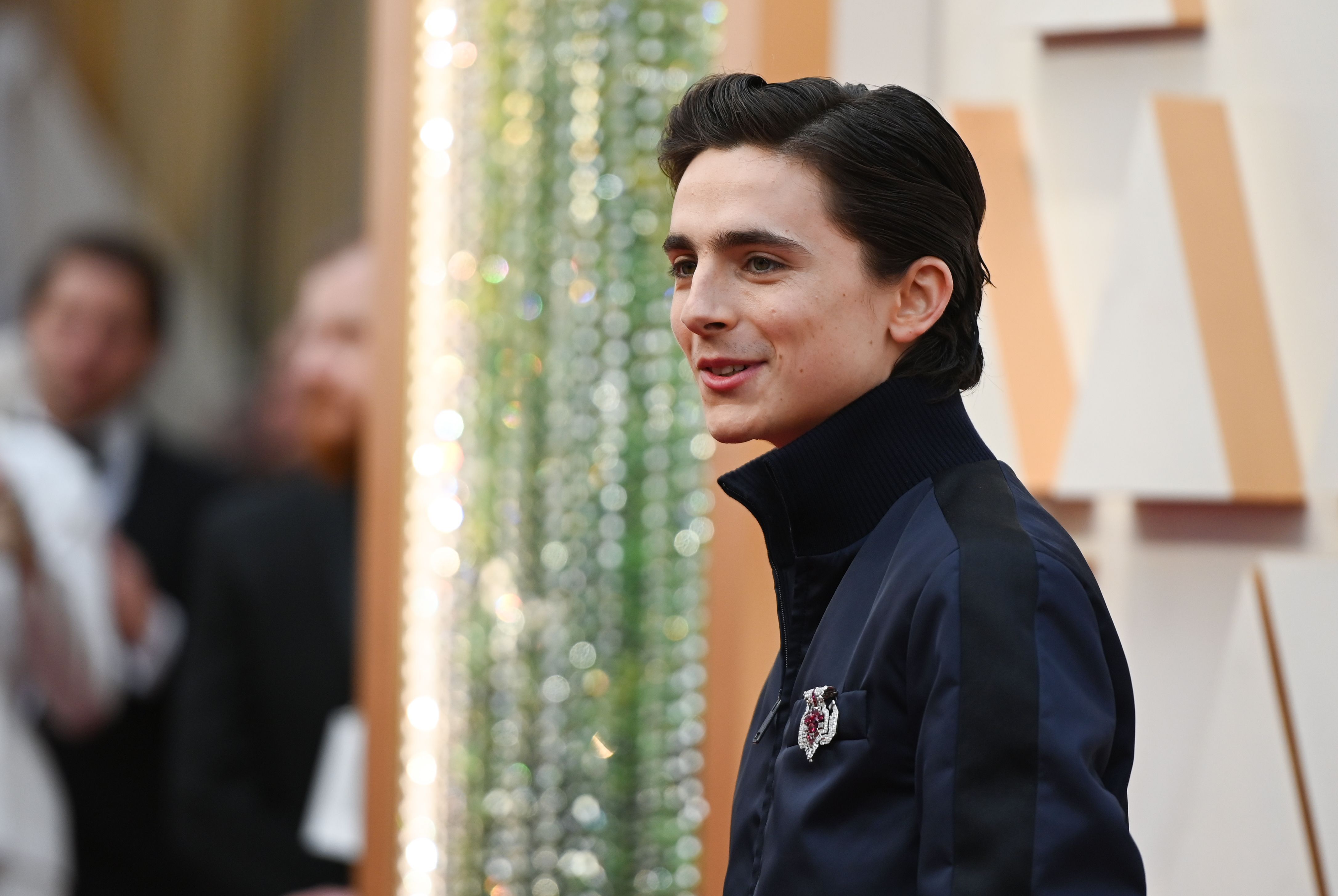 Timothée Chalamet Brought His Mom To The 2018 Oscars