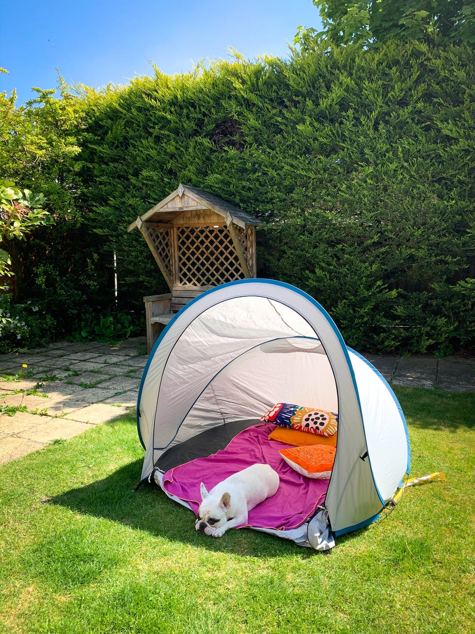 pop up dog tent with backyard shade ideas
