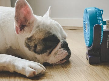 why you shouldn't sleep with fan on