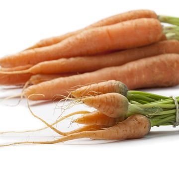 fresh baby carrots  and large ones close up