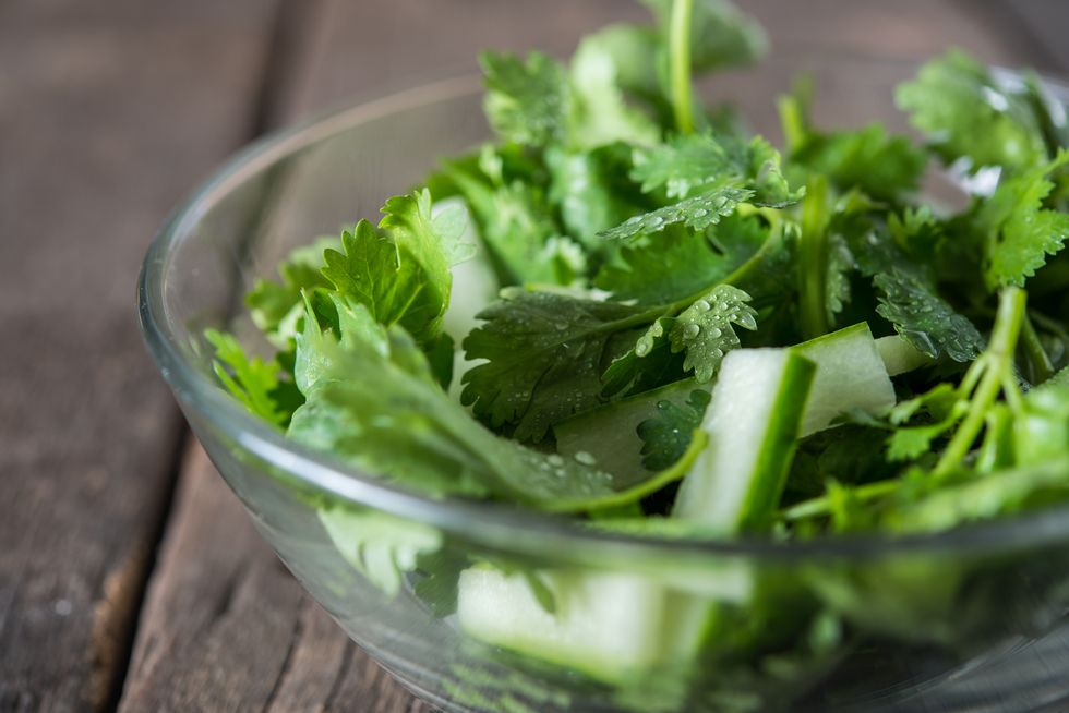 fresh cilantro salad, coriander with cucumber salad healthy foo