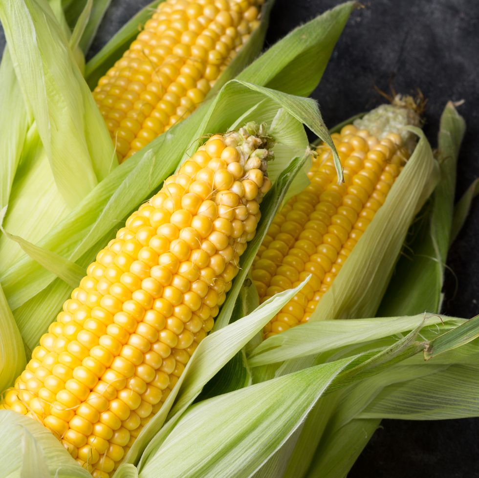 fresh corn cob on dark background