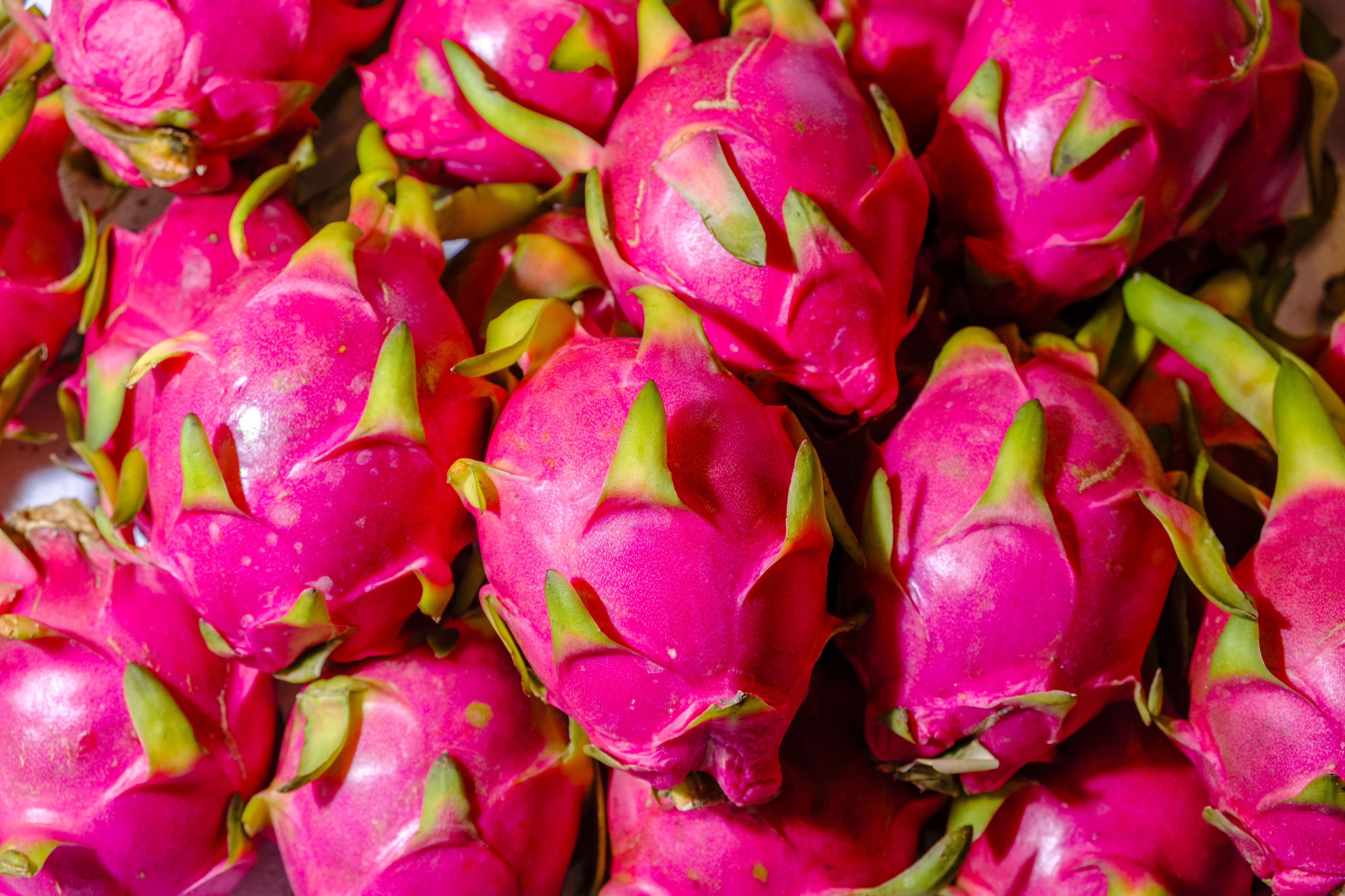 Dragon Fruit at Whole Foods Market, dragon fruit 