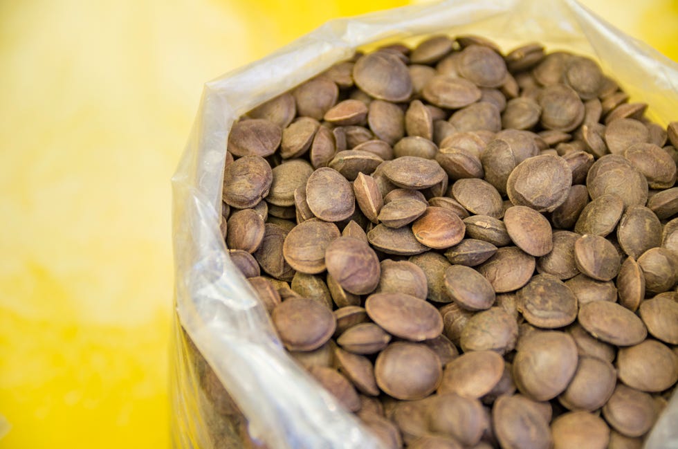 fresh fruits of sacha inchi or fruit of the inca