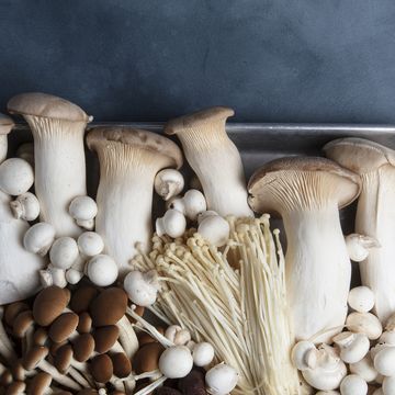 fresh fungi collection: enoki, eringi, oyster, and button mushrooms. healthy food concept. a hand taken photo, not an ai