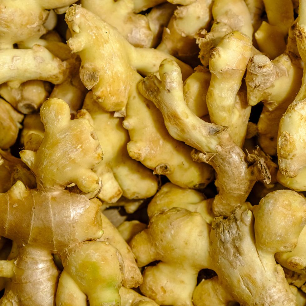 fresh ginger roots are for sale at nonthaburi market