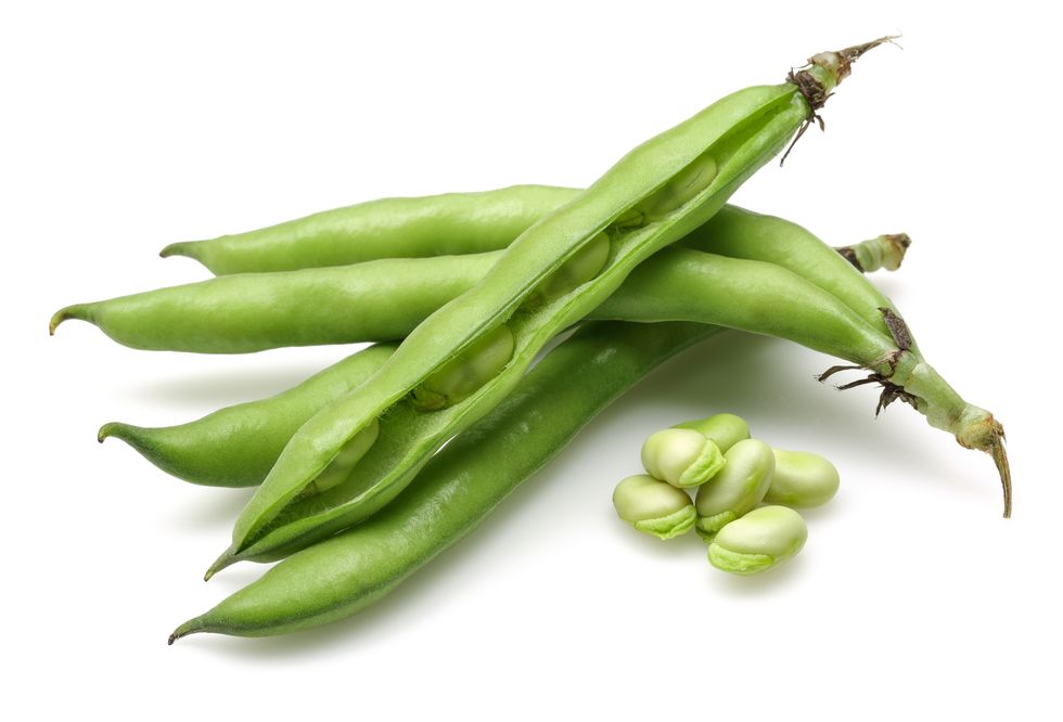 fresh green broad beans
