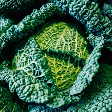 verdure invernali