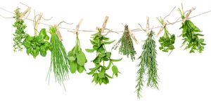 Fresh Herbs Hanging From Rope