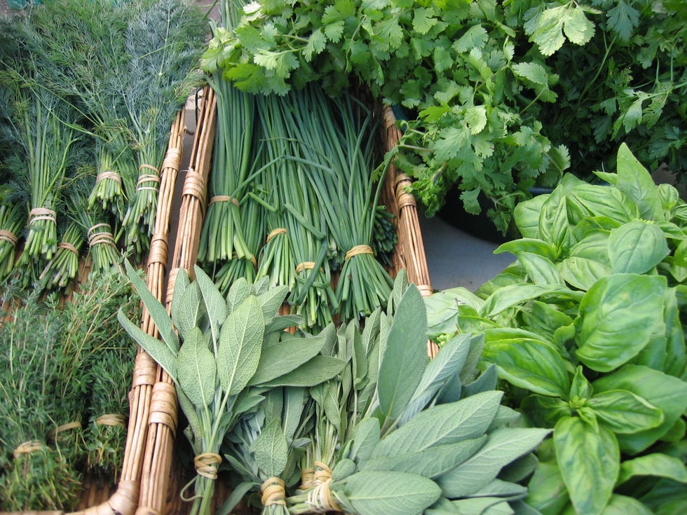 at the market fresh herbs