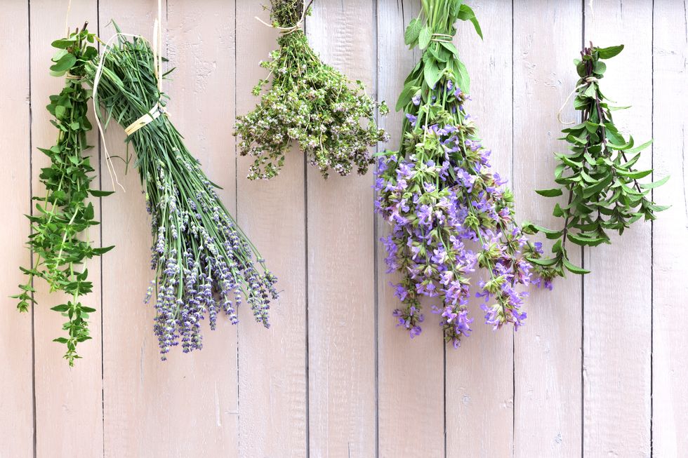 how to dry flowers air dry method fresh lavender, sage, mint and marjoram