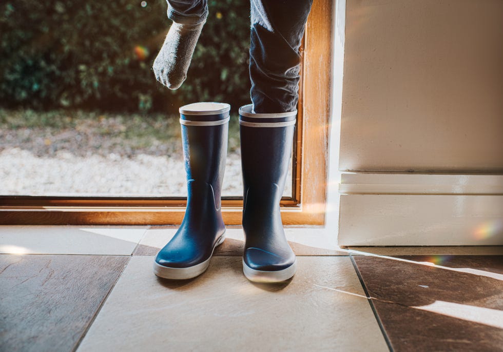 fresh mud in home