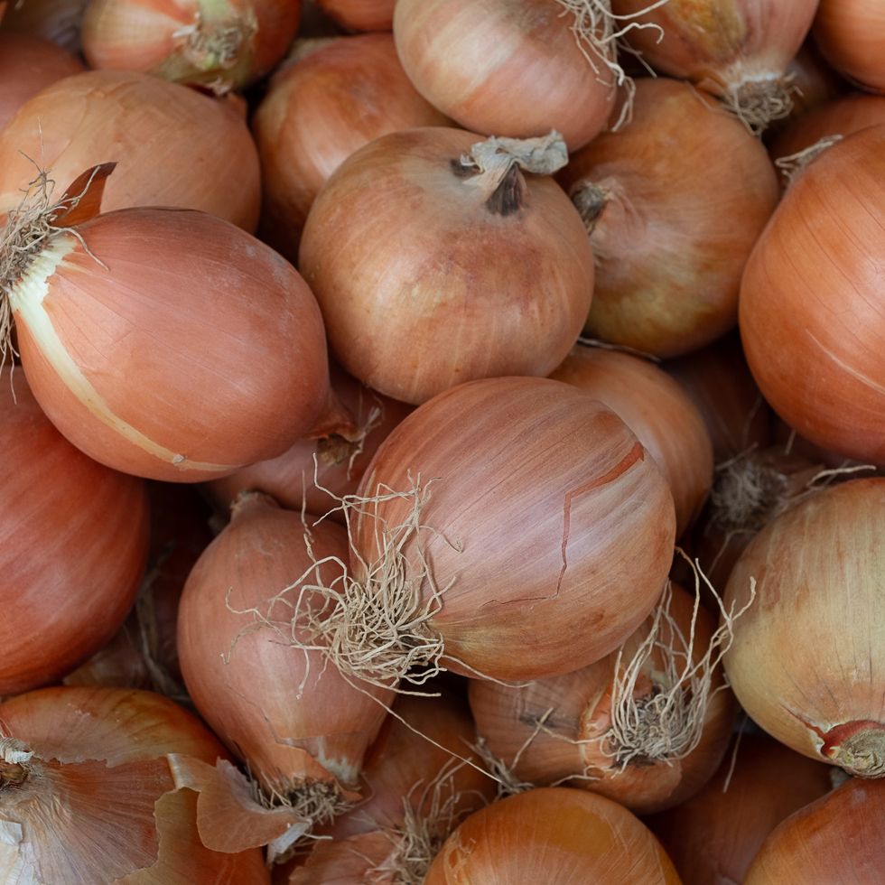 fresh onions on the table in the store, close up. vitamin seasoning for a healthy diet. a spicy food ingredient. a slide, a bunch of onions. market tent, retail and wholesale. trading place, market. agricultural products. farmer's market.
