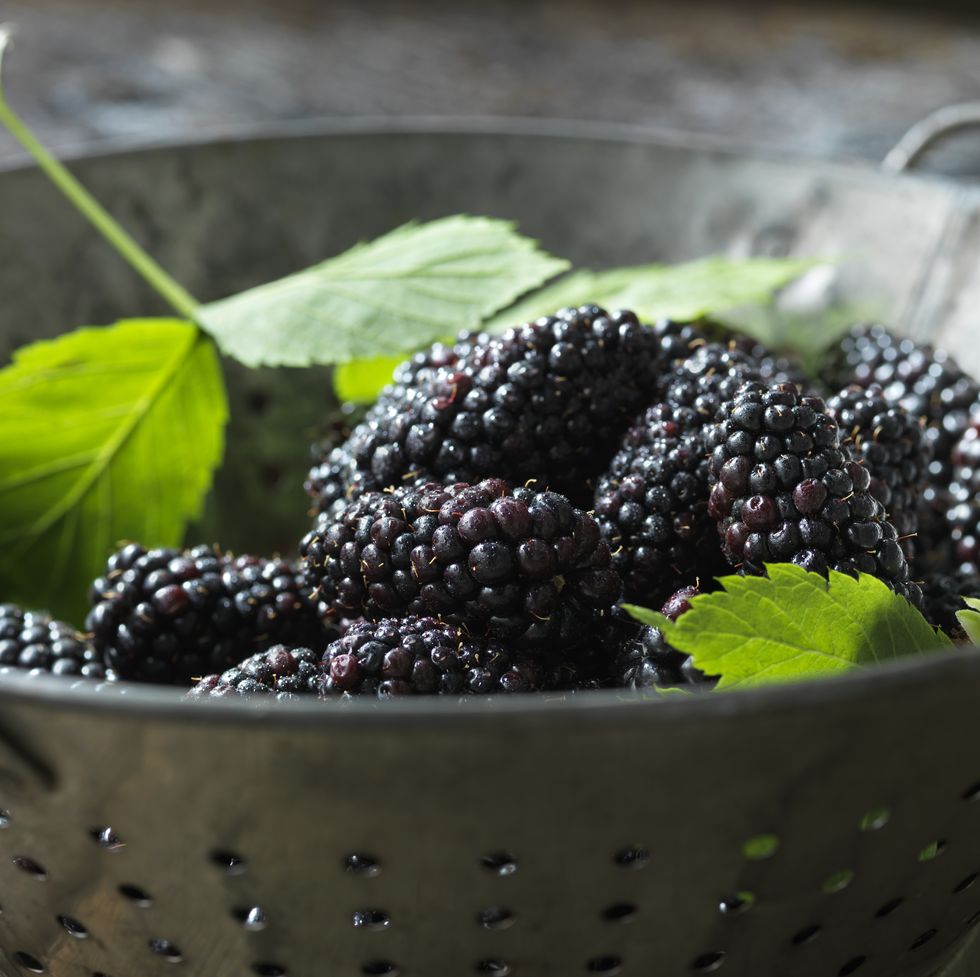 fresh organic fruit, blackberries in colander with green leaves