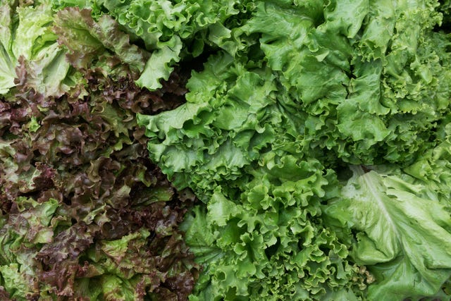 fresh organic leafy greens for sale at a farmers market