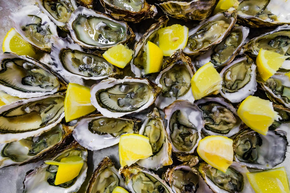 fresh oysters in a white plate with ice and lemon