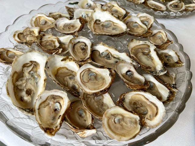 fresh oysters