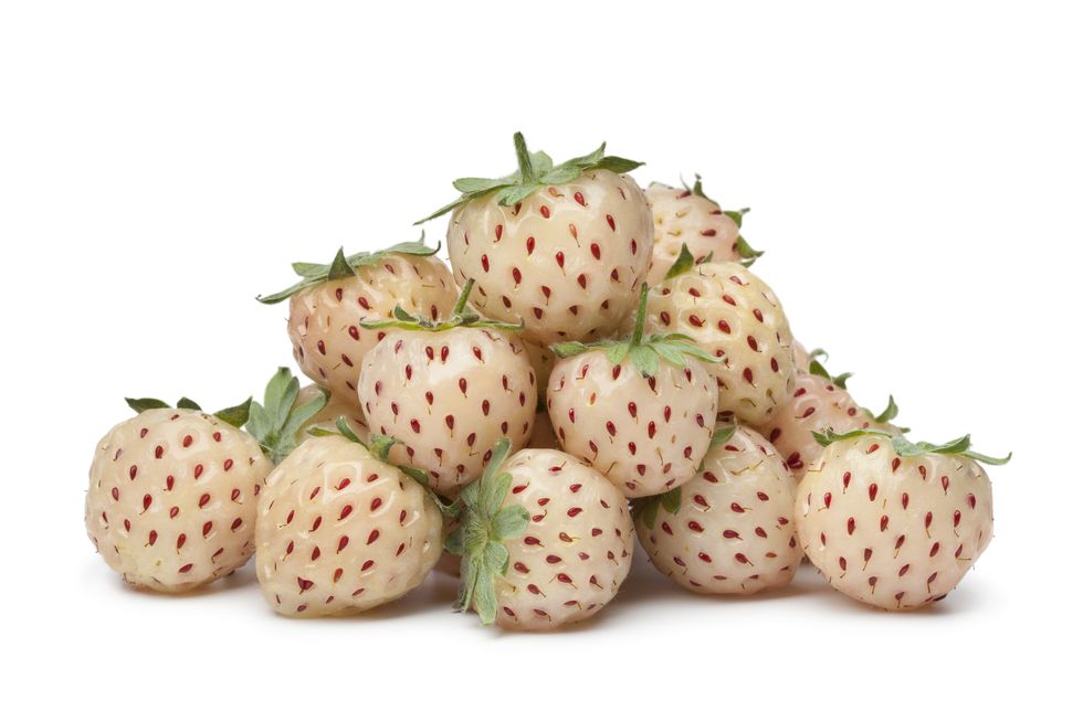 fresh pineberries