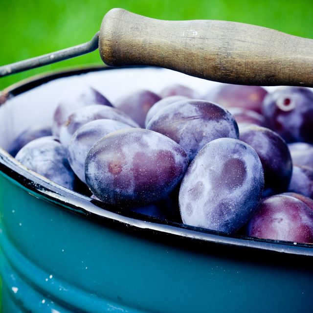 Fresh plums close-up