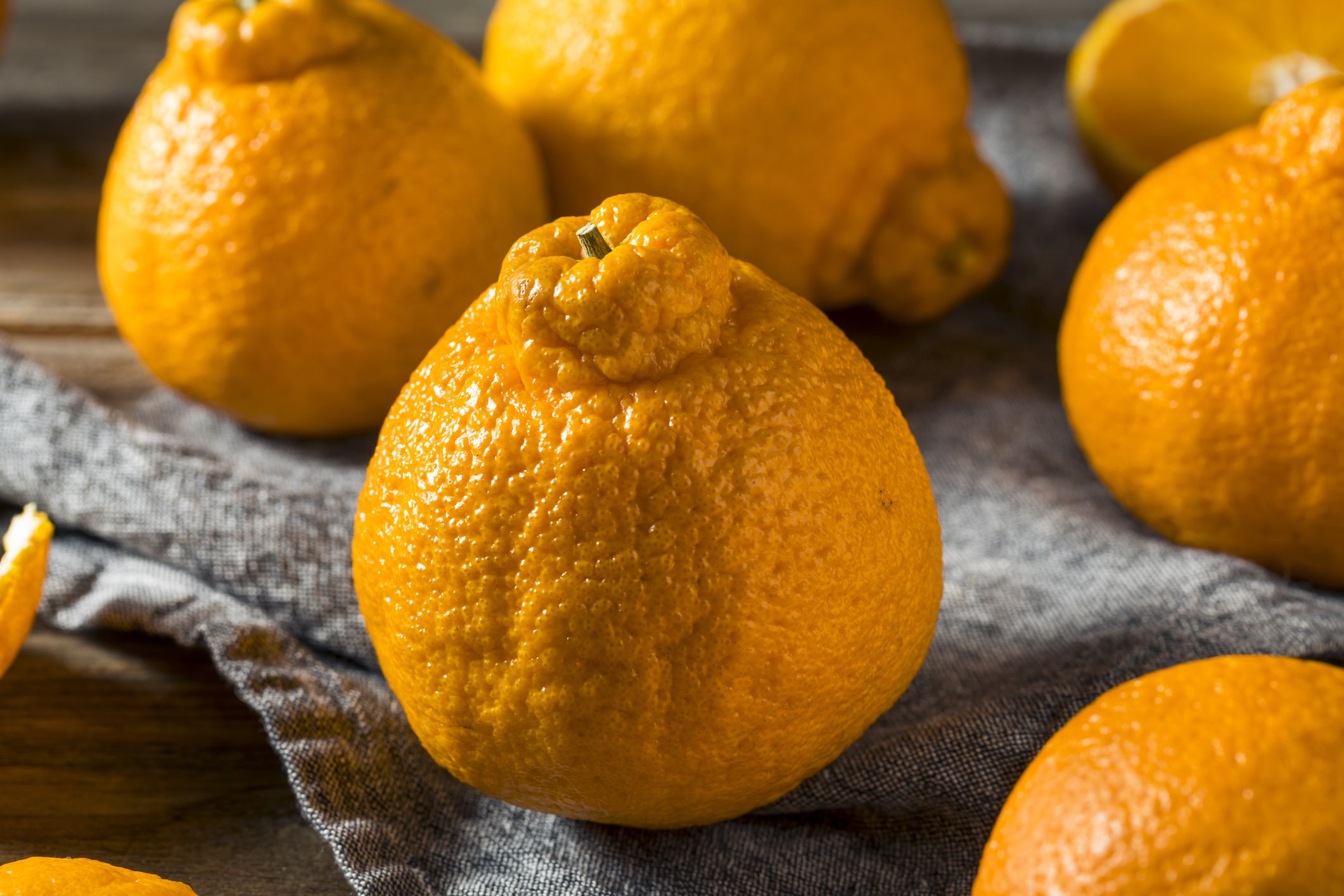 Why are Sumo Oranges trending on TikTok? Internet's latest