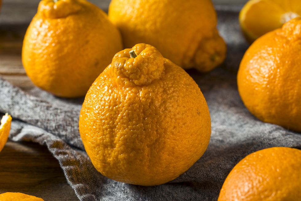 Sumo oranges are in season right now. What makes them so special?