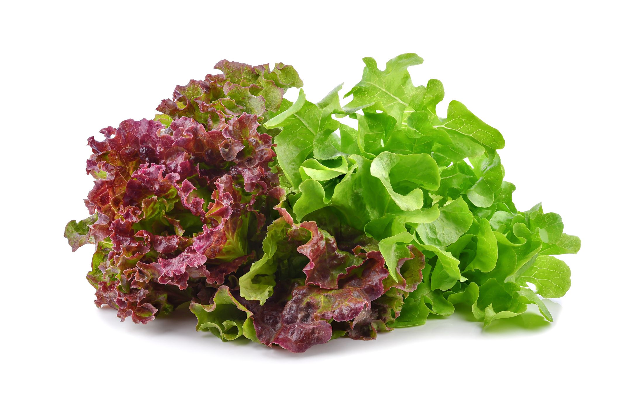 16 Types Of Lettuce And How To Use Them - Lettuce Varieties
