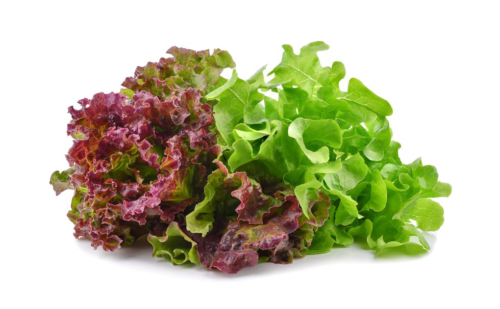 fresh red and green lettuce isolated on white