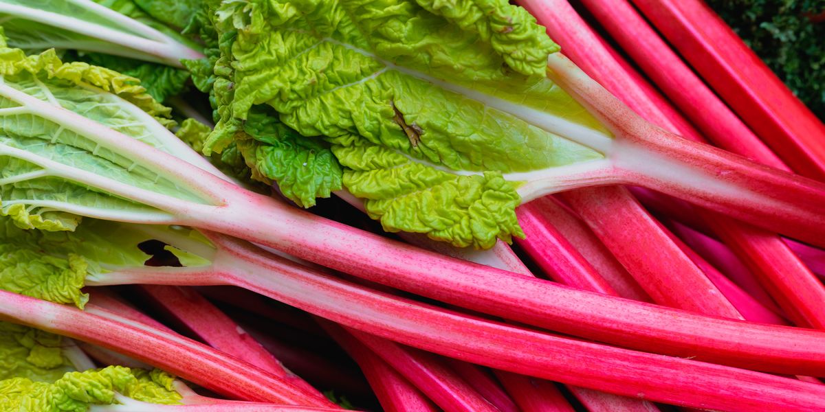 Is Rhubarb Actually Poisonous?