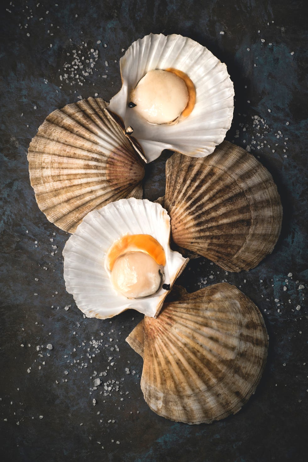 fresh scallops on a dark rustic background with sea salt crystals mediterranean seafood cuisine