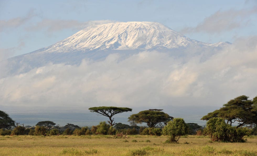 a large snowcapped mountain rises above the african savannah