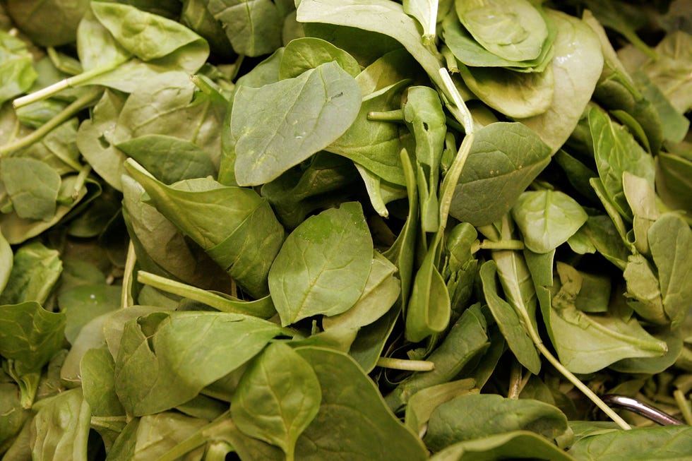 fda issues warning after e coli outbreak traced to spinach