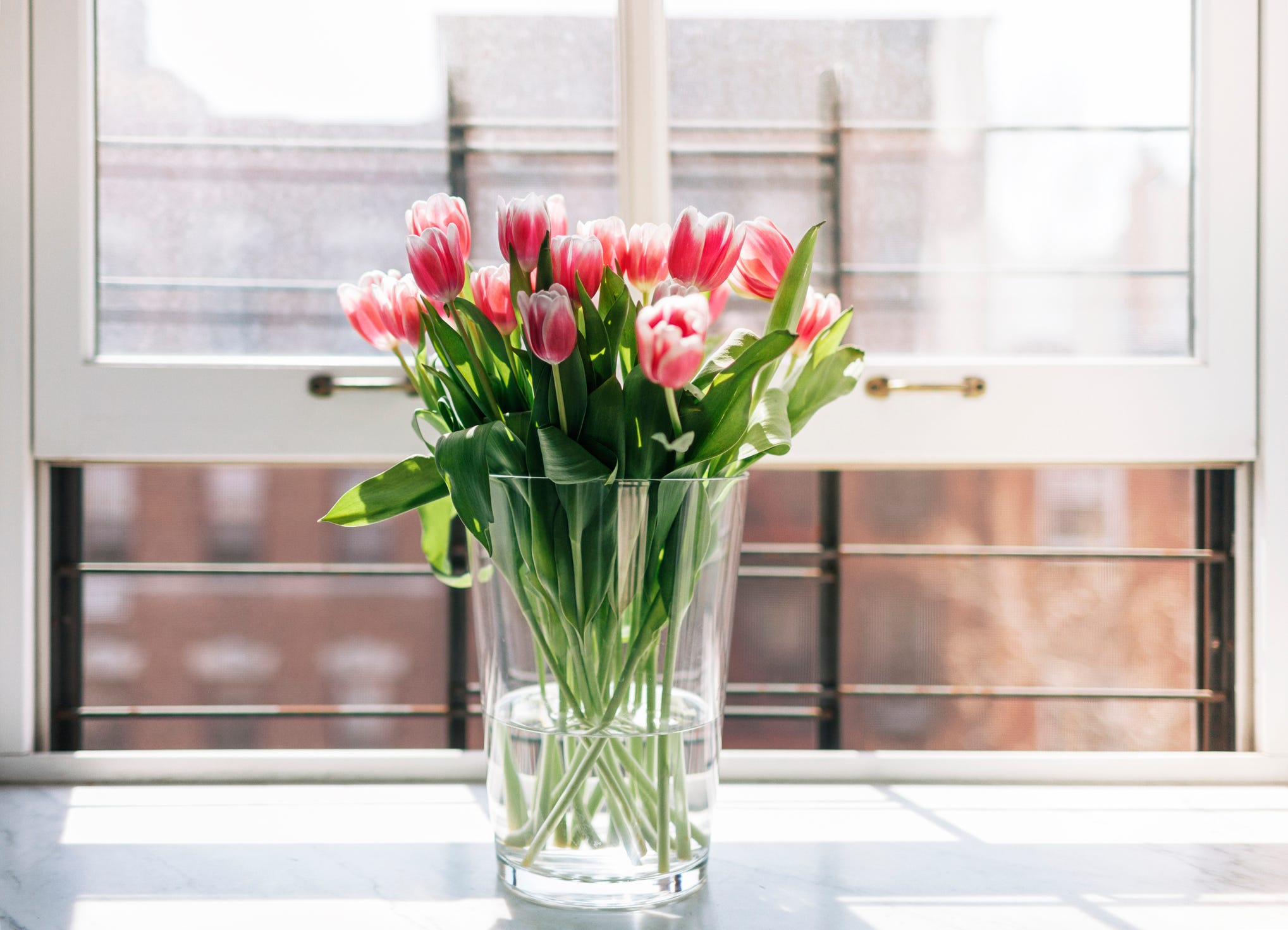 fresh-tulips-in-vase-on-window-royalty-free-image-1724359835.jpg?crop=1.00xw: 0.925xh ؛ 0،0 12 شيئًا يجب التخلص منها في أسرع وقت ممكن، وفقًا لمنظمي الفعاليات المحترفين