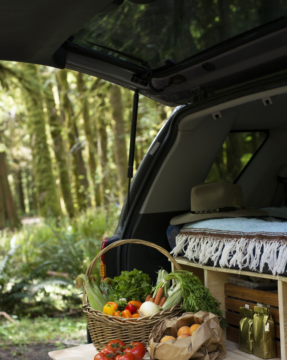 20+ Car Camping Tips and Ideas - Best Tricks for Sleeping in Your Car