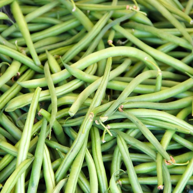 canned vs fresh green beans health benefits